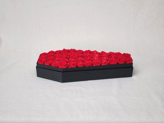 The Raven Coffin - Deluxe