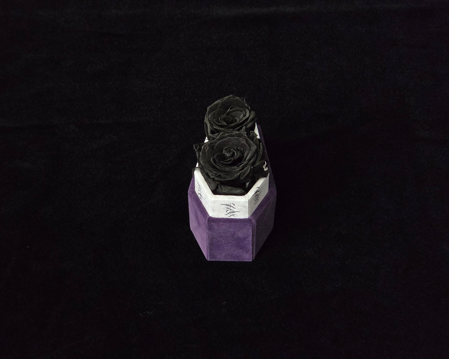 Nightshade Whisper