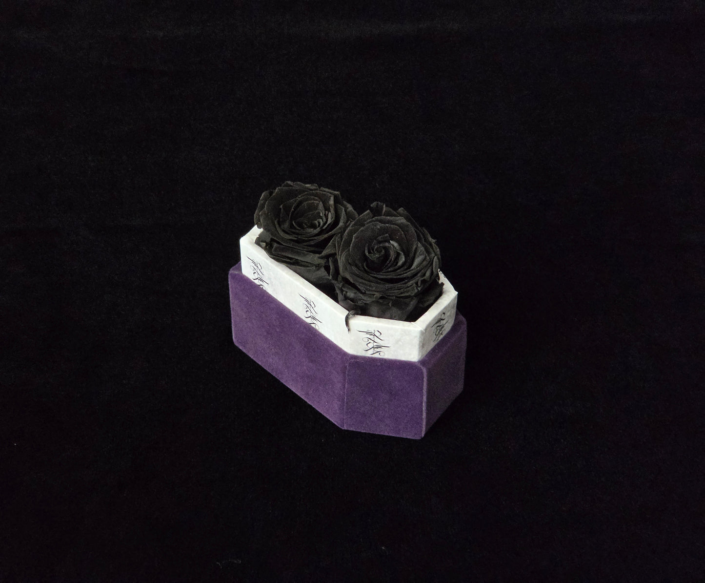 Nightshade Whisper