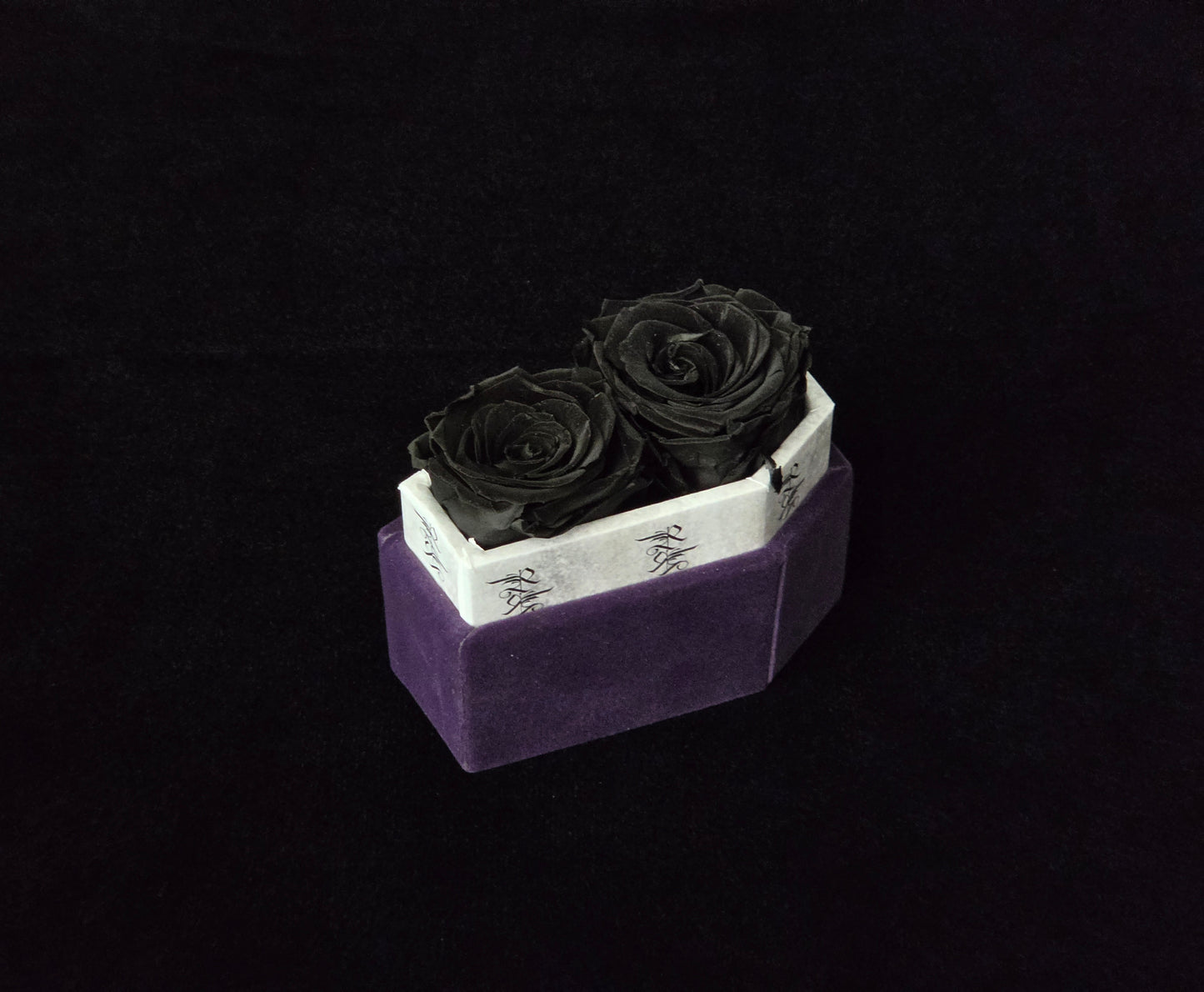 Nightshade Whisper