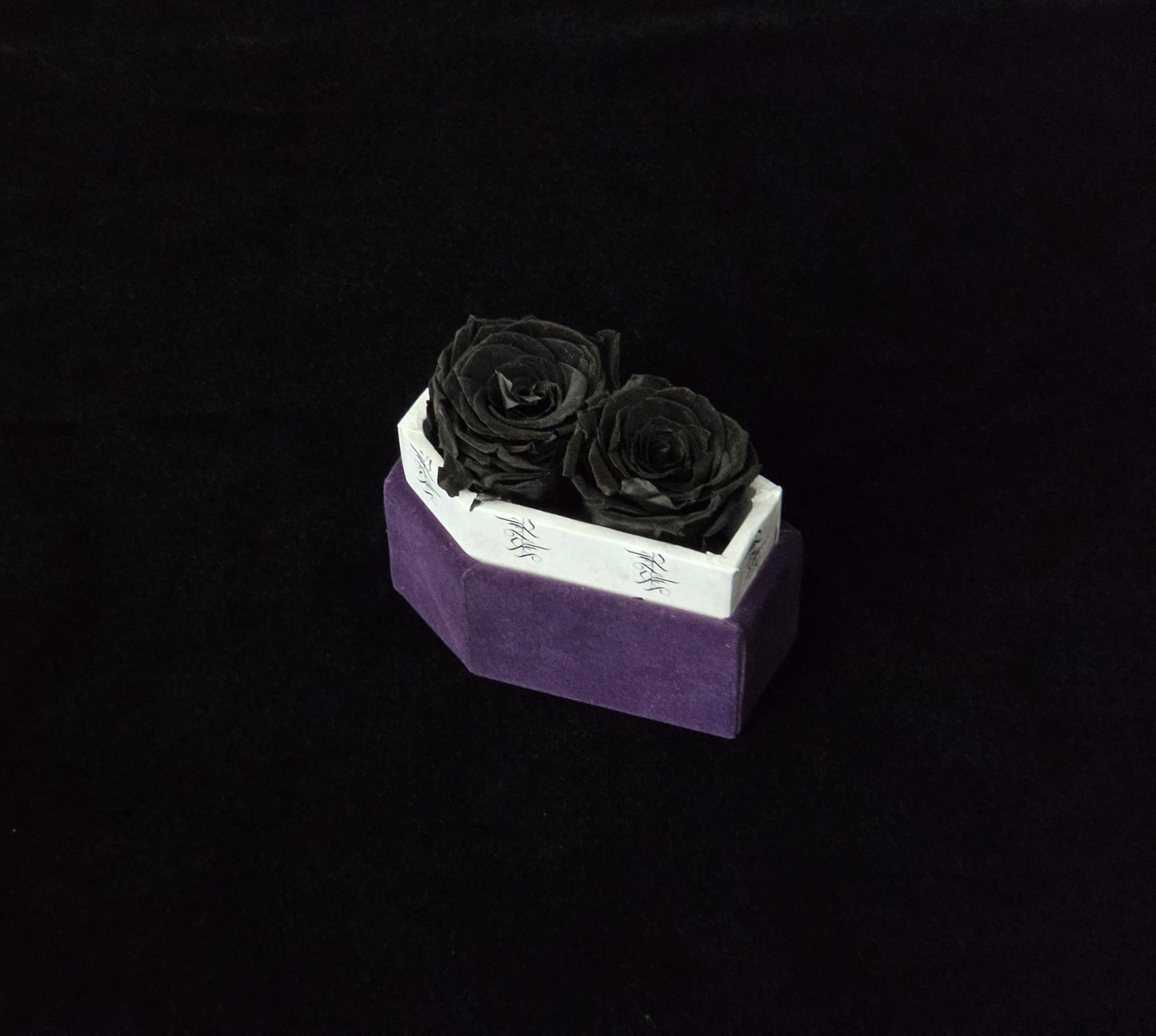 Nightshade Whisper