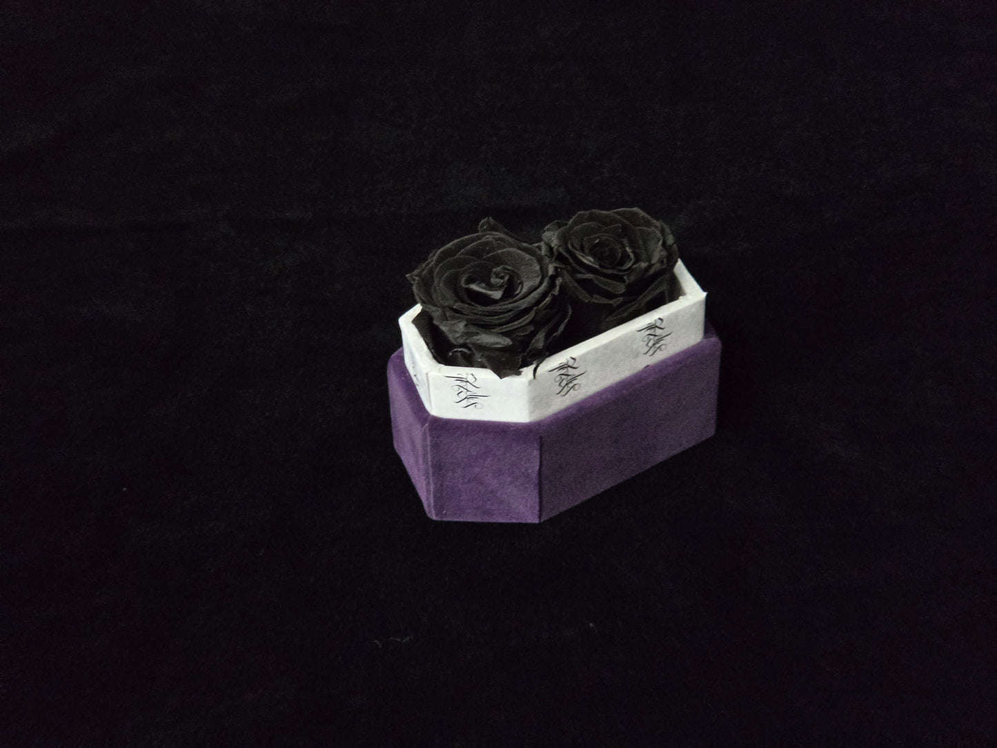 Nightshade Whisper