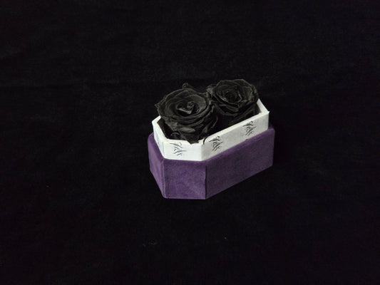 Nightshade Whisper