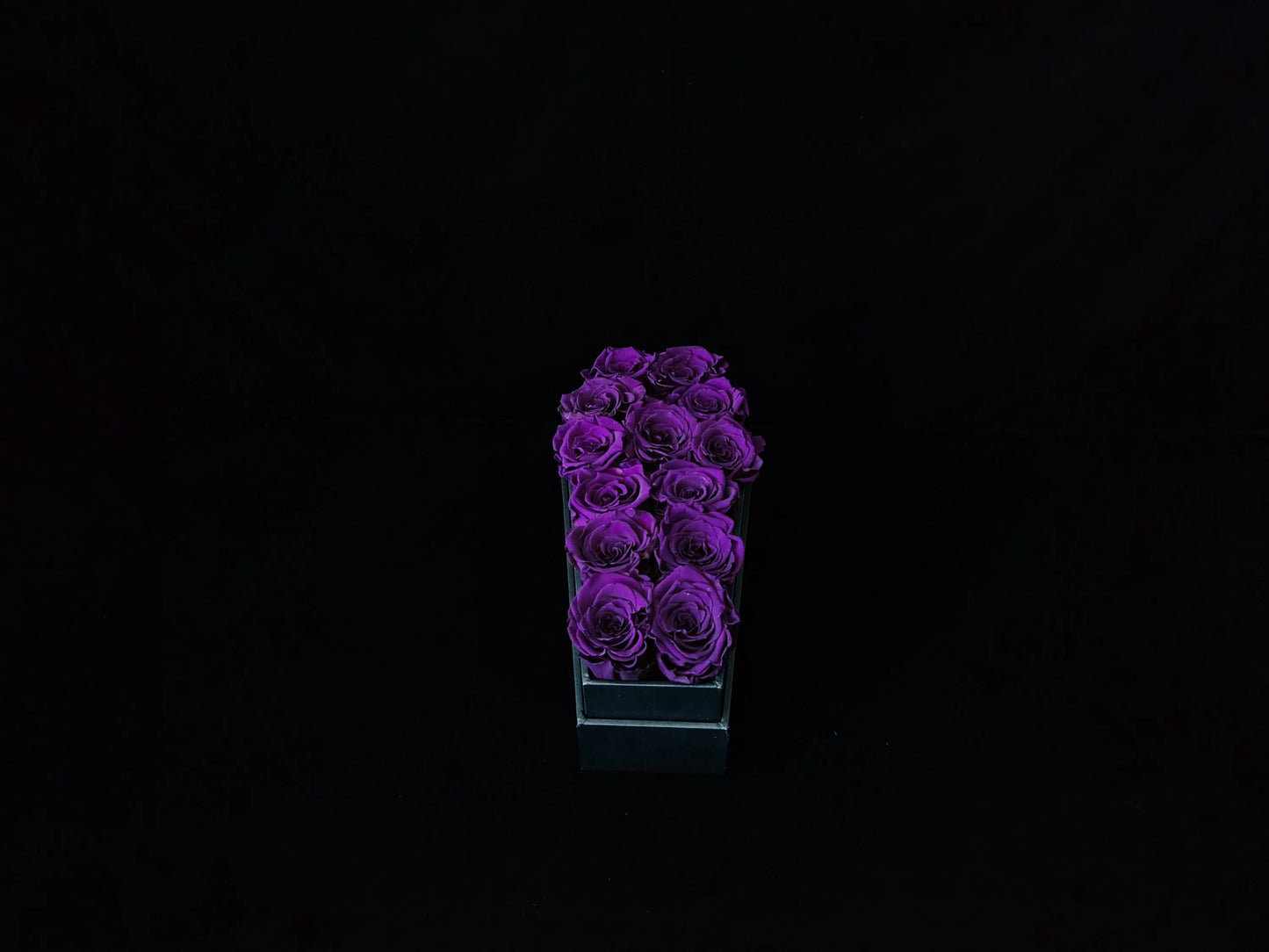 Lyra Vestige
