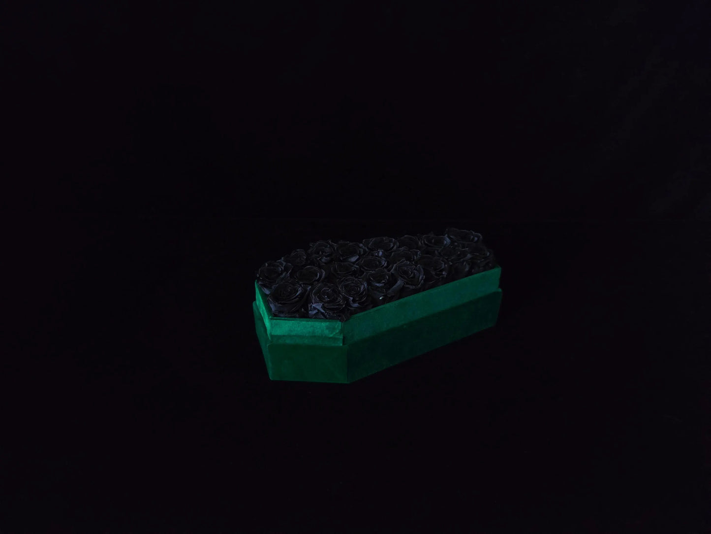 Ivy Vestige