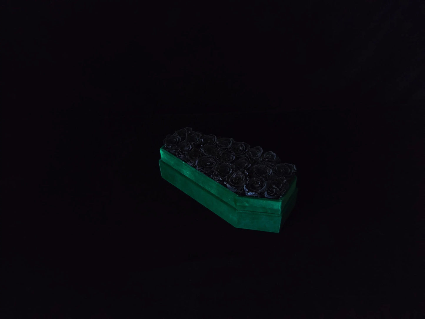 Ivy Vestige