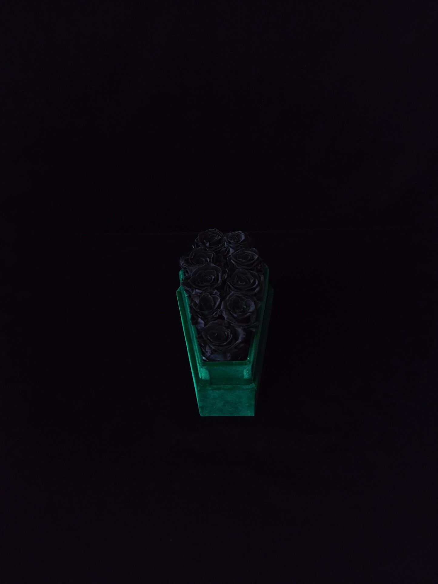 Ivy Veil