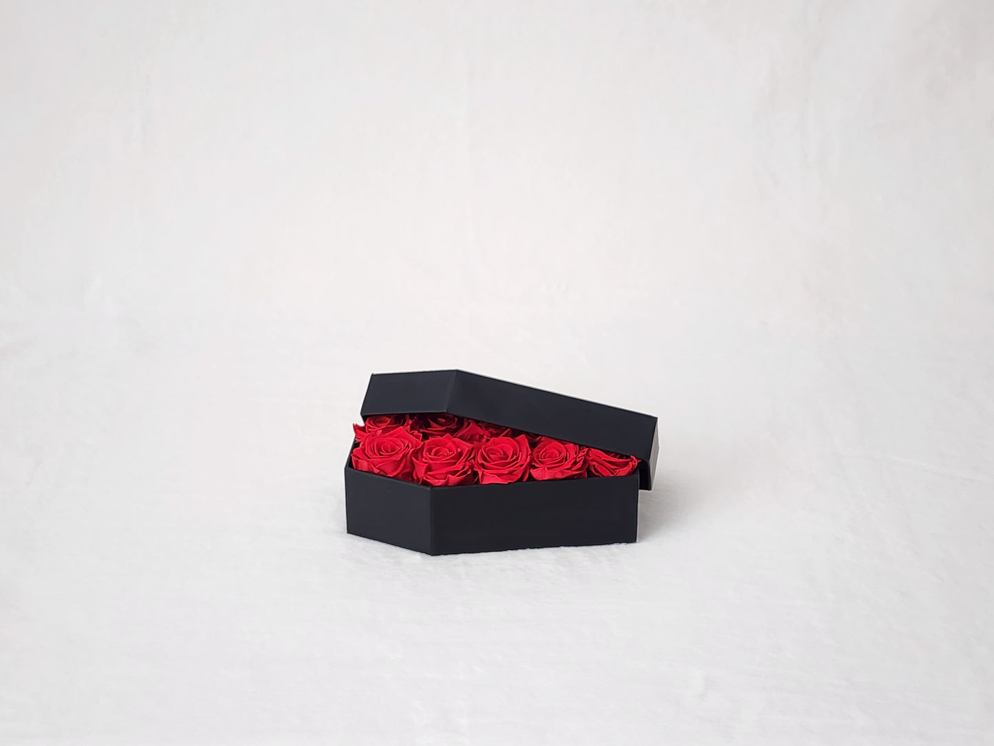 The Raven Coffin - Petite