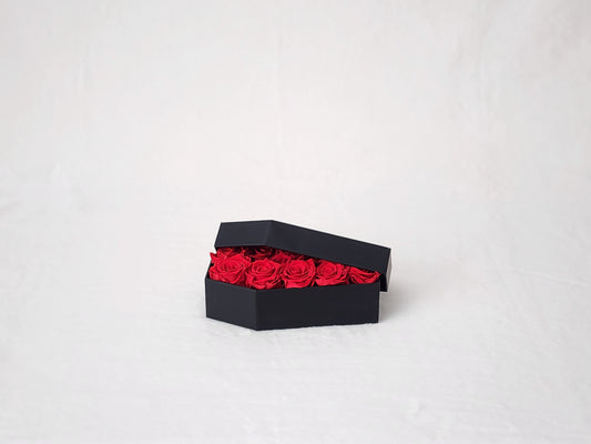 The Raven Coffin - Petite