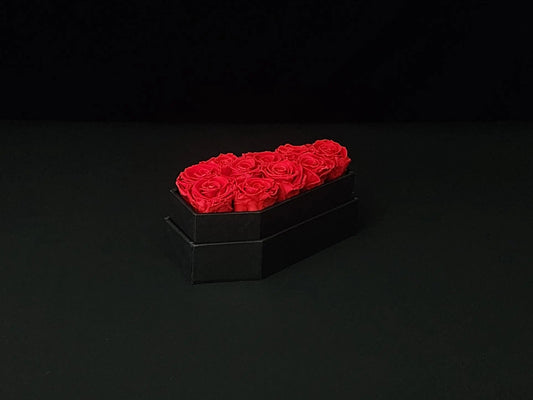 Vampire Veil