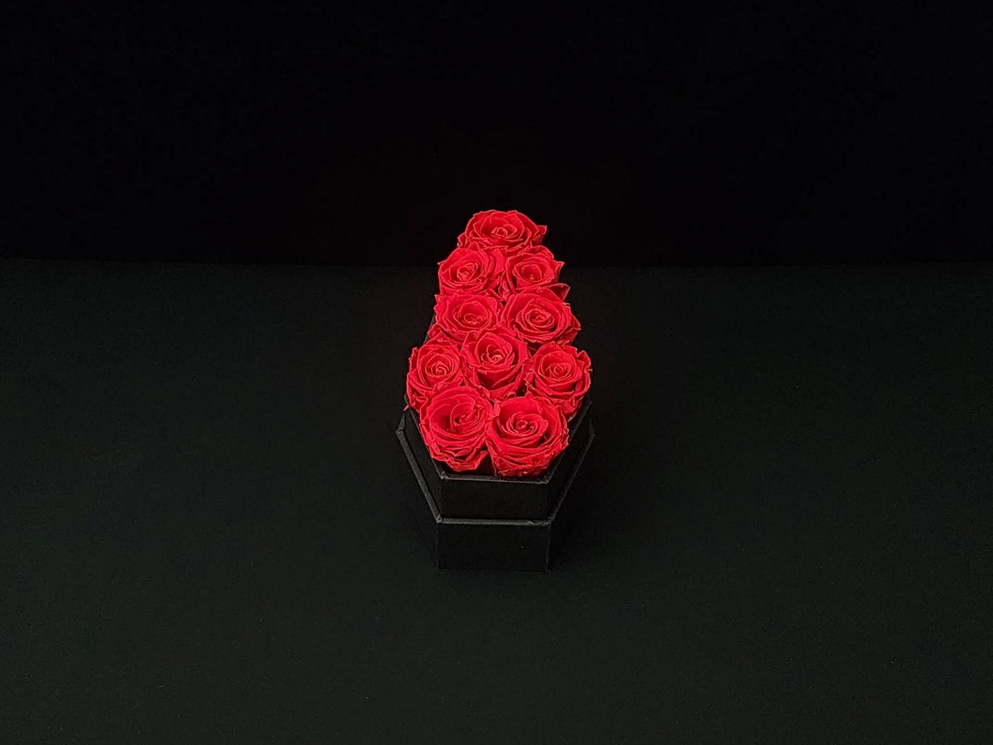 Vampire Veil